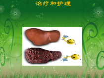 肝硬化失代偿期治疗护理课件