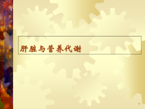 肝脏与营养代谢医学课件