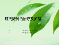 肛周脓肿的治疗及护理课件