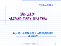 基础医学实验中心消化系统课件