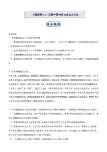 高考政治二轮复习小题必练14 发展中国特色社会主义文化 教师版