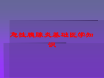 急性胰腺炎基础医学知识培训课件