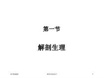 阑尾疾病医疗培训课件