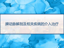 脾动脉解剖及相关疾病的介入治疗-课件
