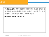 神经源性肠的医疗护理培训课件