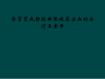食管胃底静脉曲张破裂出血的治疗课件
