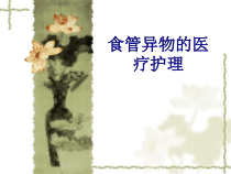 食管异物的医疗护理讲义课件