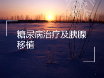 糖尿病治疗及胰腺移植课件