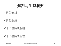 胃十二指肠溃疡穿孔医疗护理培训课件