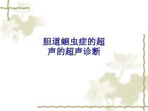 医学胆道蛔虫症的超声的超声诊断专题培训课件