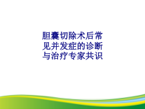 医学胆囊切除术后常见并发症的诊断与治疗专家共识专题培训课件