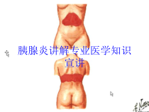 胰腺炎讲解专业医学知识宣讲培训课件