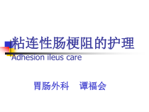 粘连性肠梗阻保守治疗的护理课件