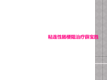 粘连性肠梗阻治疗薛宝胜课件