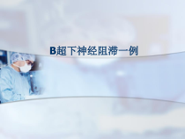 b超引导下神经阻滞一例课件