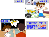 21通过神经系统的调节课件