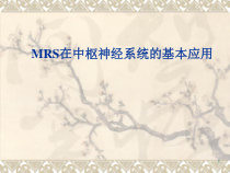 MRS在中枢神经系统的基本应用课件