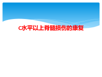 C水平以上脊髓损伤康复课件