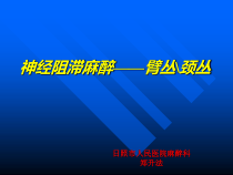 臂丛神经阻滞-副本课件