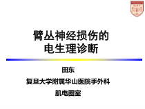 臂丛神经损伤的诊治进展课件