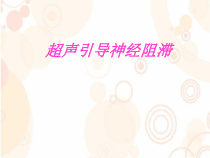 超声引导神经阻滞课件