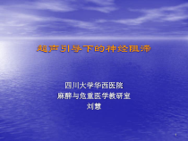 超声引导下的神经阻滞课件