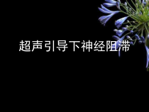 超声引导下神经阻滞参考课件