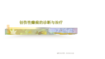 创伤性癫痫的诊断与治疗28张课件