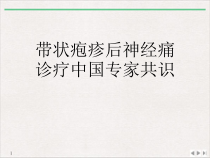 带状疱疹后神经痛诊疗中国专家共识课件