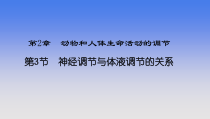 第二章第三节神经调节与体液调节的关系公开课用课件
