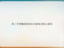 第三节脊髓损伤的社区康复训练与服务培训课件