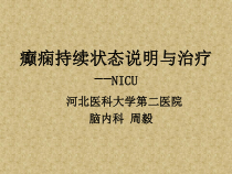 癫痫持续状态说明与治疗课件