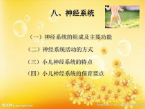 儿童神经系统-课件
