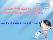 非疱疹病毒性脑炎12课件