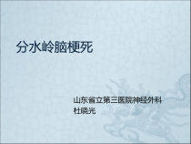 分水岭脑梗死课件
