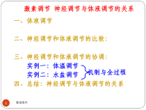 激素调节神经调节与体液调节的关系课件