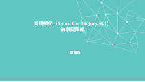 脊髓损伤的康复策略课件