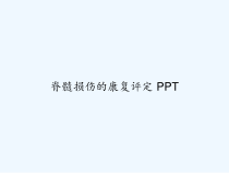 脊髓损伤的康复评定-课件