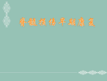 脊髓损伤康复参考课件