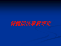 脊髓损伤康复评定培训课件
