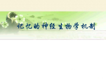 记忆的神经生物学机制课件