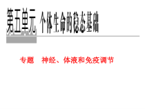 教学用神经体液免疫调节汇总