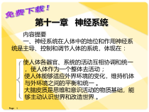 解剖学-神经系统摘要课件