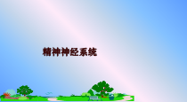 精神神经系统课件