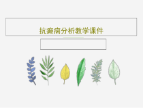 抗癫痫分析教学课件20页