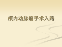 颅内动脉瘤手术入路课件