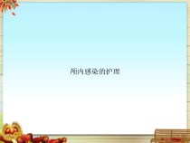 颅内感染的护理课件