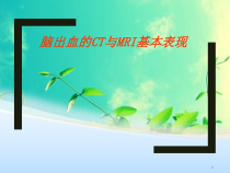 脑出血的CT与MRI表现课件