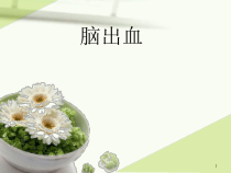 脑出血护理查房最新课件