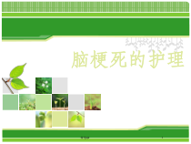 脑梗死的护理课件